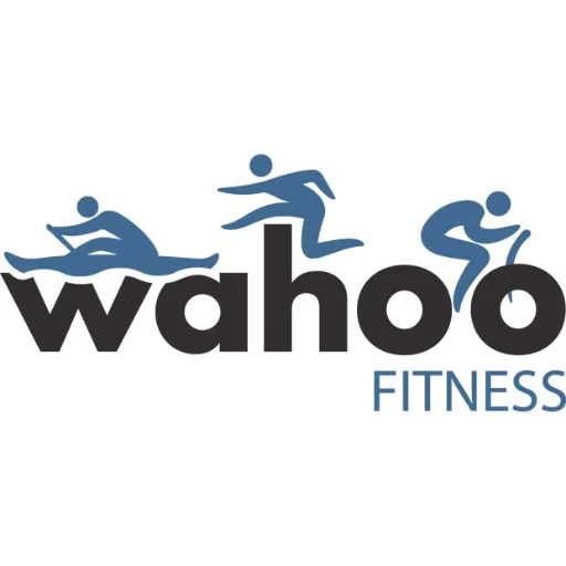 Wearables tracking data